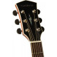 CORT PW310M NS W/CASE