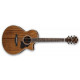 IBANEZ AE245 NT