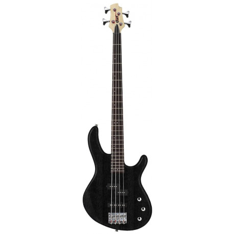 CORT Action PJ OPB