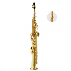 MAXTONE TSC30L