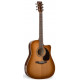 S&P 033775 - CW GT VINTAGE BURST CEDAR A3T WITH BAG