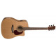 S&P 033768 - CW GT Cedar Q1T with Bag