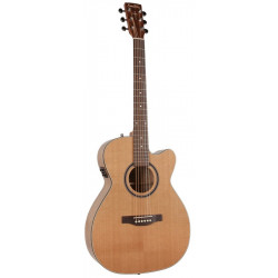 S&P 040469 - CW GT Concert Hall Cedar EQ with Bag