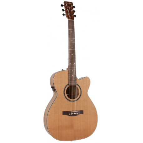 S&P 040469 - CW GT Concert Hall Cedar EQ with Bag