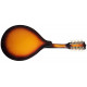 MAXTONE China MGRC202