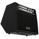 Laney A1+