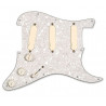 EMG DG20 IVORY