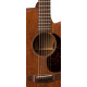 MARTIN GPC-15ME