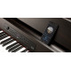 KORG C1 AIR-BR