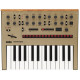 KORG MONOLOGUE-GD