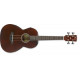 IBANEZ AVNB1E BV