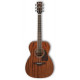 IBANEZ AC340 OPN
