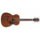 IBANEZ AC340 OPN