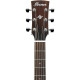 IBANEZ AC340 OPN