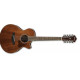 IBANEZ AE2412 NT