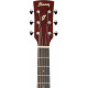 IBANEZ PC12MHCE OPN