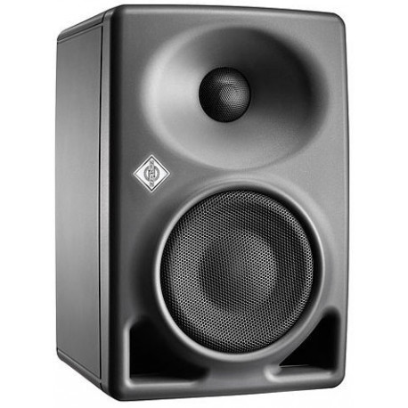 NEUMANN KH 80 DSP A G