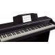 ROLAND RP501RCR