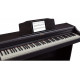 ROLAND RP501RCB