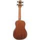 FZONE FZUB-004 Bass Ukulele