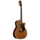 ALVAREZ AG75CE