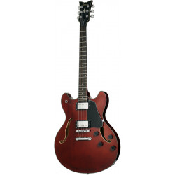 SCHECTER CORSAIR T.O.M. GWAL