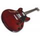 SCHECTER CORSAIR T.O.M. GWAL