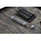 SCHECTER C-6 PLUS CB