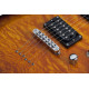 SCHECTER C-6 PLUS VSB