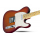 SCHECTER PT STANDARD M/M