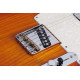 SCHECTER PT STANDARD M/M