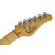 SCHECTER PT STANDARD M/M