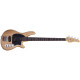 SCHECTER CV-4 GNAT