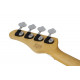 SCHECTER CV-4 GNAT