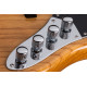 SCHECTER DIAMOND-J PLUS AN
