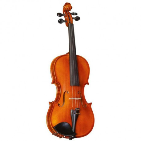 STRUNAL STRADIVARIUS 175WA 4/4
