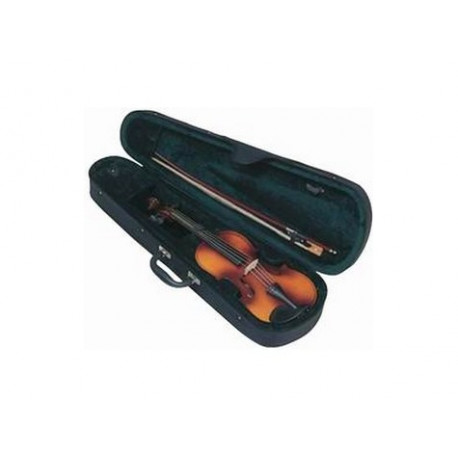 STRUNAL CASE