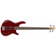 CORT Action PJ OPBC