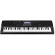 CASIO CT-X800