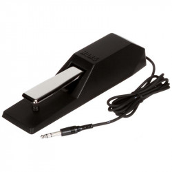 KORG DS-1H