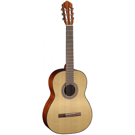CORT AC100 SG