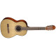 CORT AC100 SG