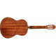 CORT AC100 SG