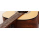CORT AC100 SG