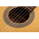 CORT AC100 SG