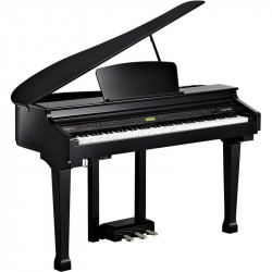 KURZWEIL KAG-100 EP