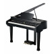 KURZWEIL KAG-100 EP