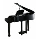 KURZWEIL KAG-100 EP