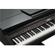 KURZWEIL KAG-100 EP