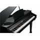 KURZWEIL KAG-100 EP